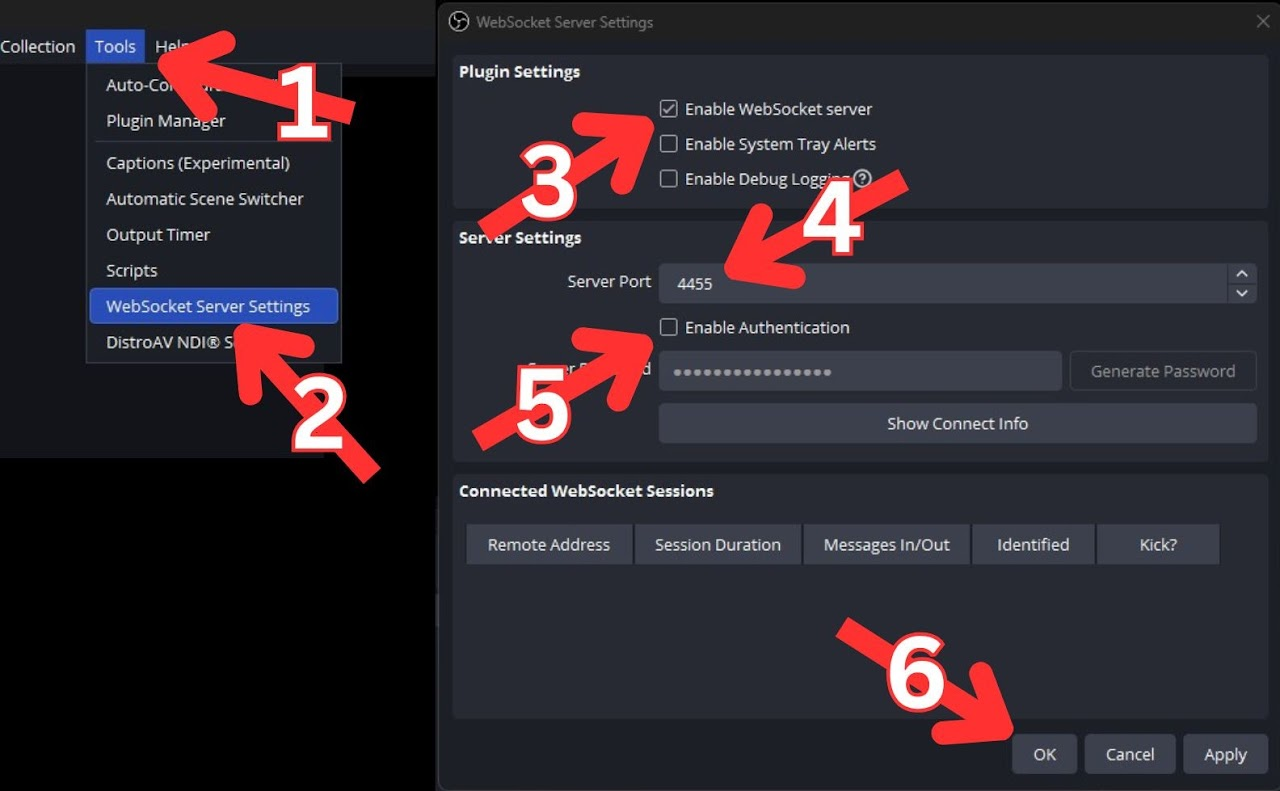 OBS WebSocket Setting